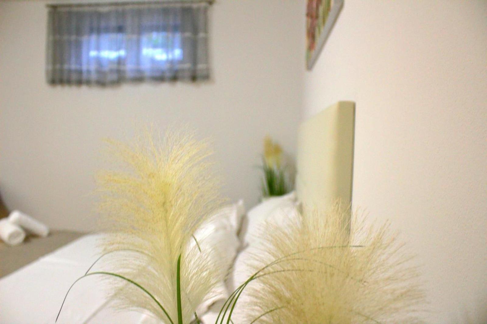 Apartment Danijela Zadar Zewnętrze zdjęcie