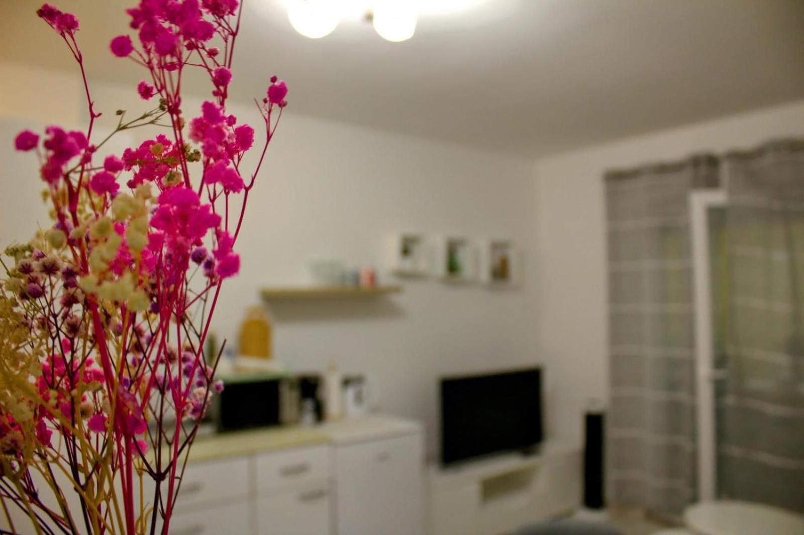 Apartment Danijela Zadar Zewnętrze zdjęcie