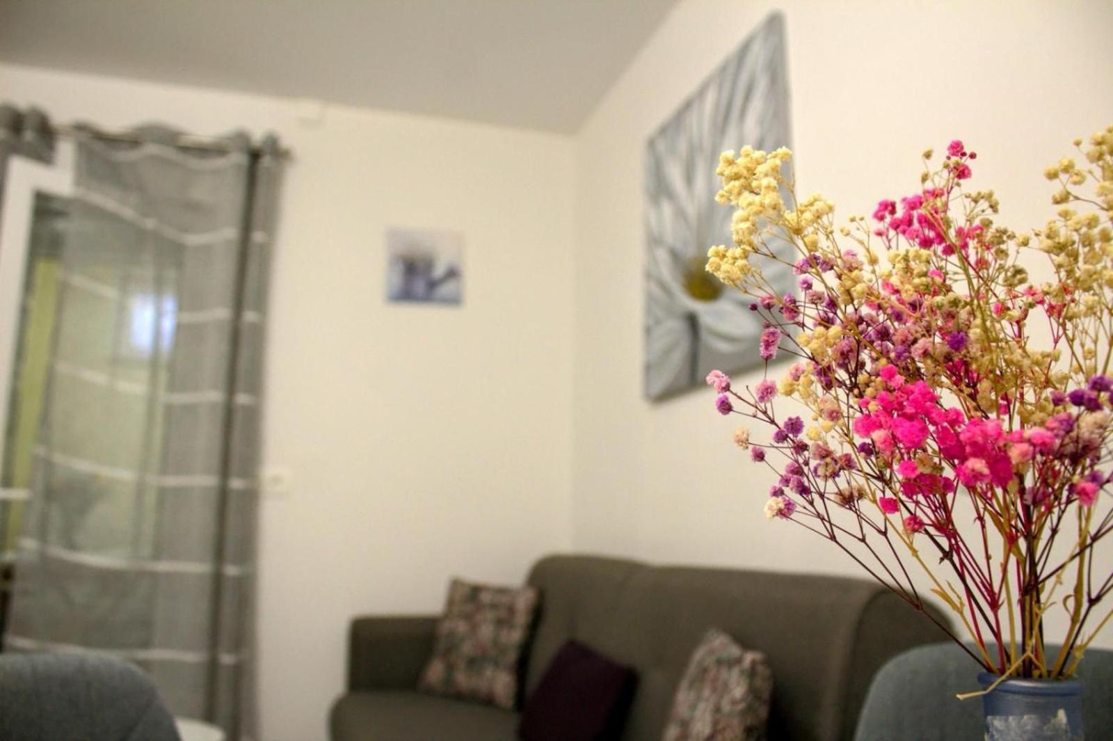 Apartment Danijela Zadar Zewnętrze zdjęcie